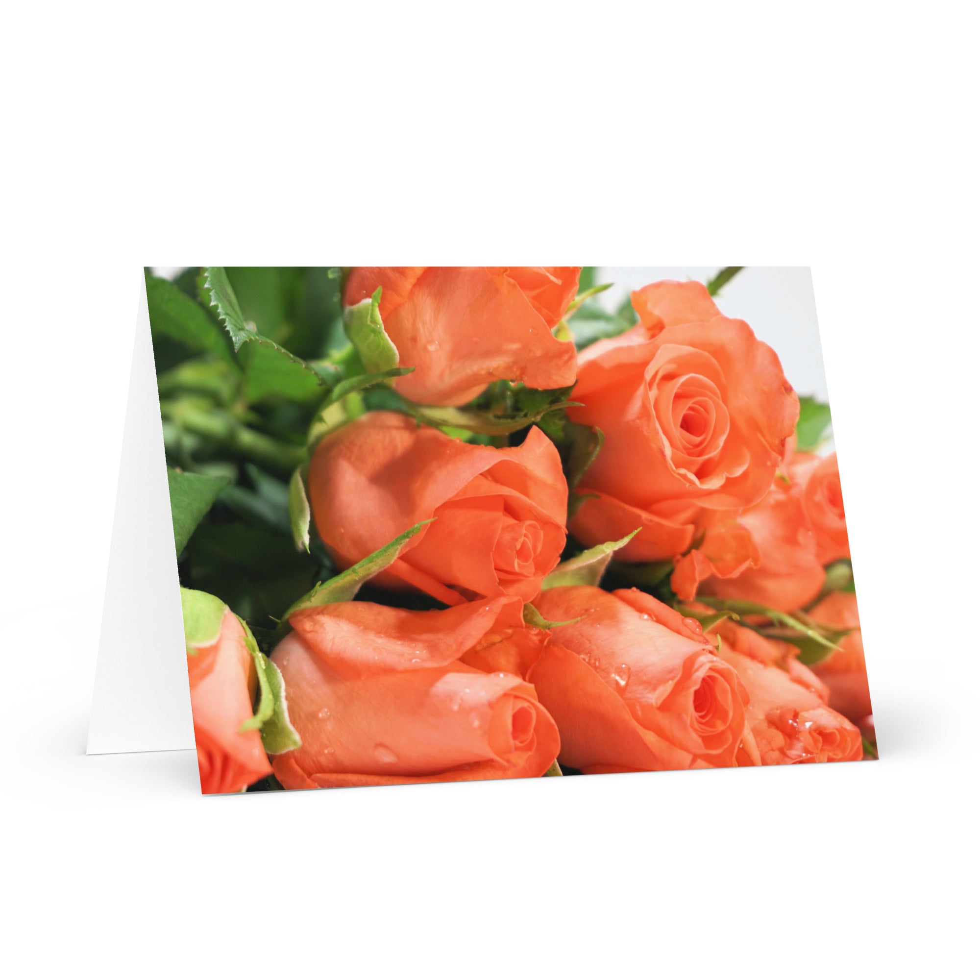 Greeting Card | Peach Roses