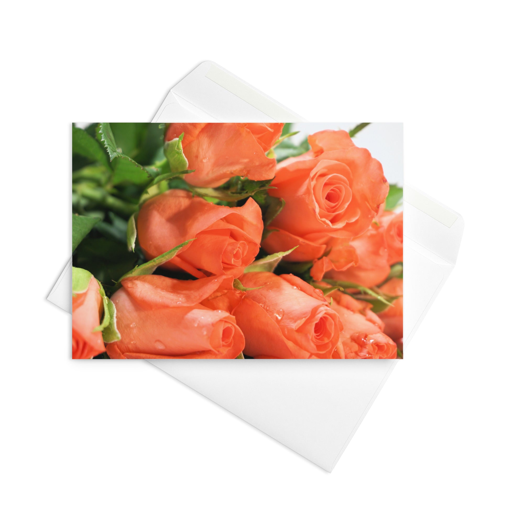 Greeting Card | Peach Roses